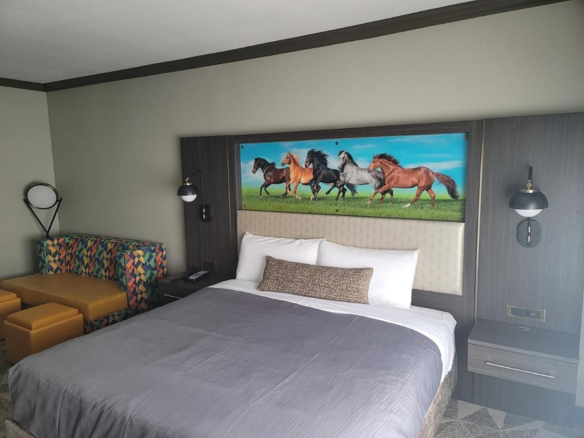 Big Country & Suites, Surestay Collection By Bw Hotel Abilene