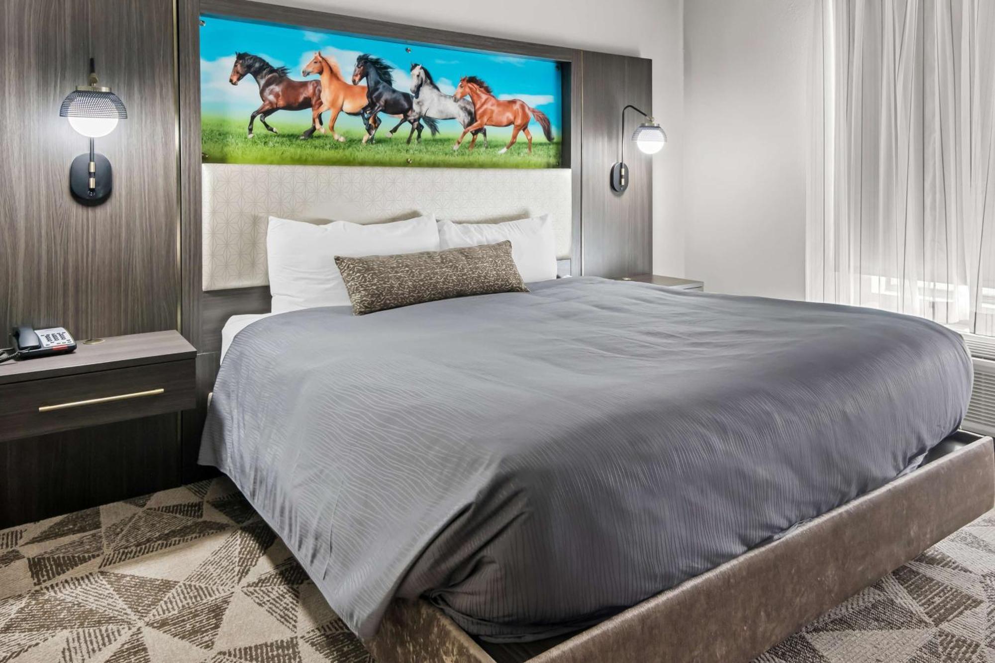 Big Country & Suites, Surestay Collection By Bw Hotel